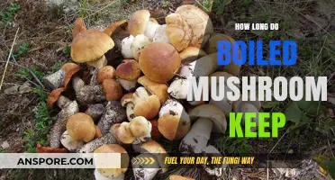 Boiled Mushrooms Storage Guide: Shelf Life and Freshness Tips