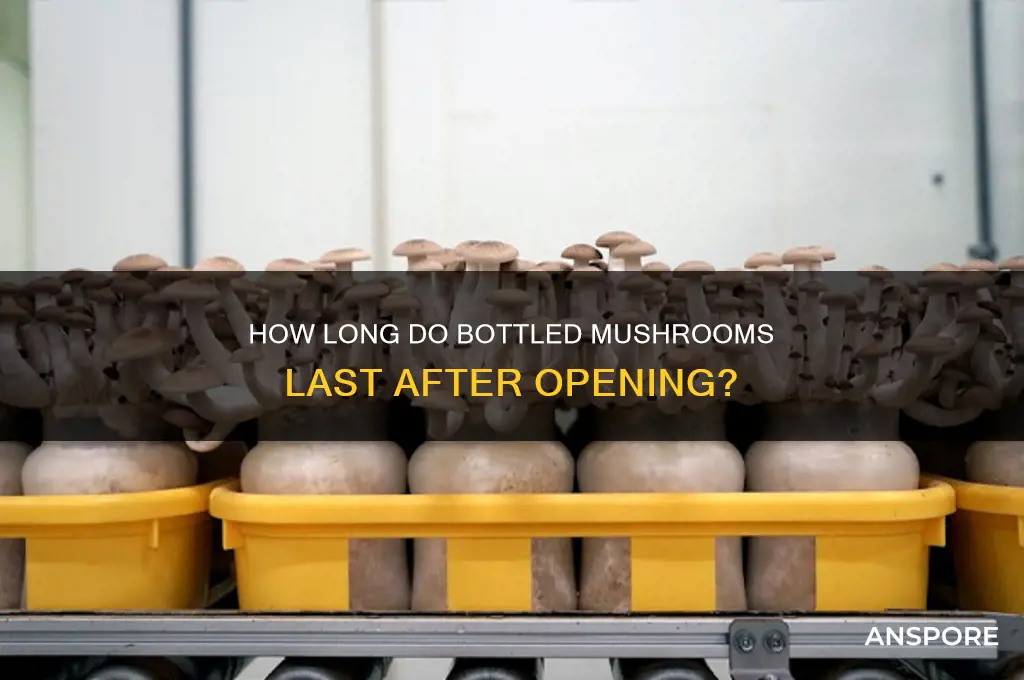 how long do bottled mushrooms last after opening