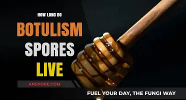 Botulism Spores Lifespan: How Long Do They Survive in Environments?