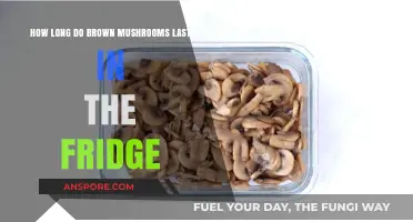 Brown Mushrooms Shelf Life: Fridge Storage Tips and Duration Guide