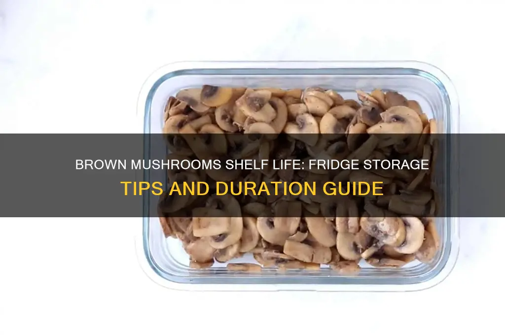 how long do brown mushrooms last in the fridge