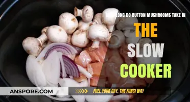 Slow Cooker Button Mushrooms: Perfect Cooking Time Guide