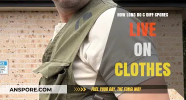 C. Diff Spores on Clothes: Survival Duration and Prevention Tips