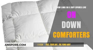 C. Diff Spores on Down Comforters: Survival Duration and Risks