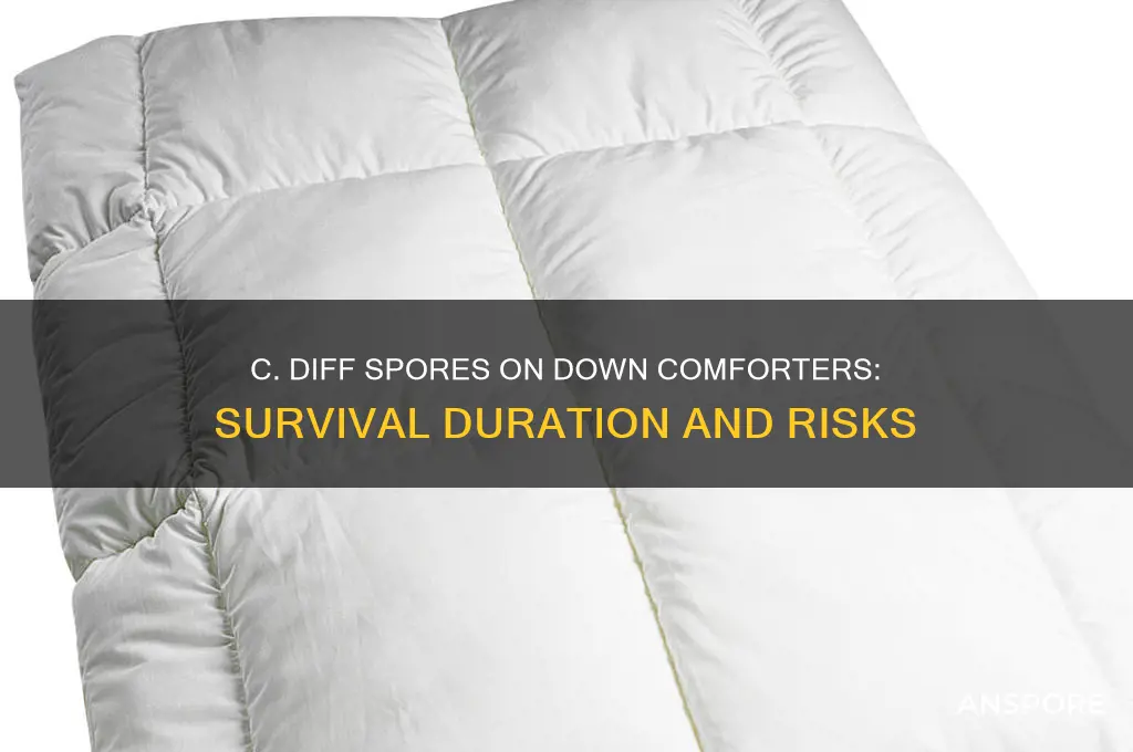 how long do c diff spores live on down comforters