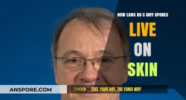 C. Diff Spores on Skin: Survival Duration and Prevention Tips