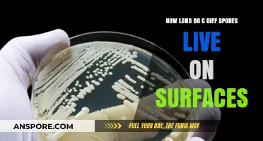 C. Diff Spores Survival: How Long Do They Live on Surfaces?