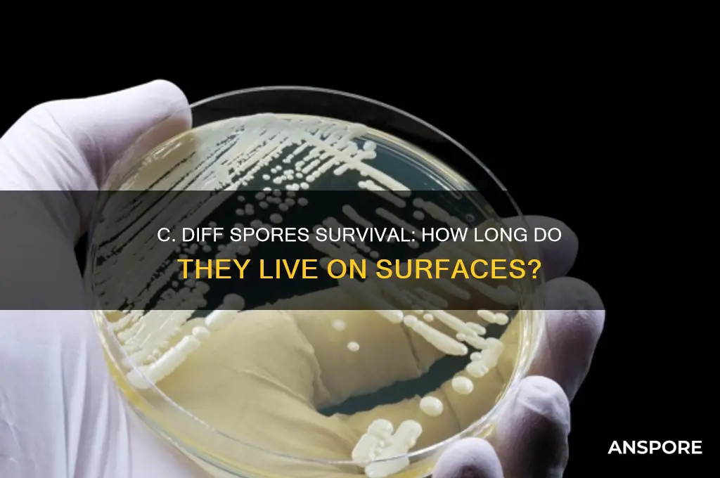 how long do c diff spores live on surfaces