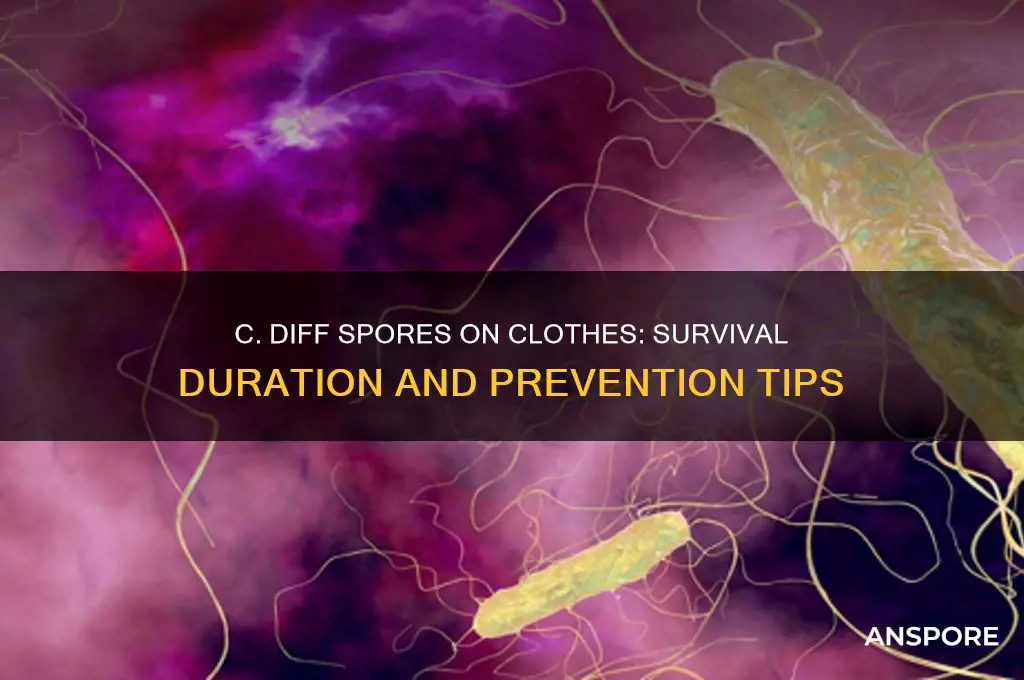 how long do cdiff spores live on clothes