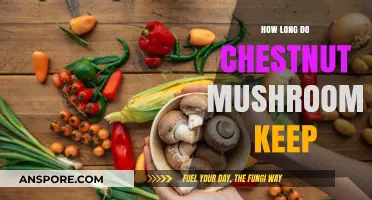 Chestnut Mushrooms Shelf Life: Storage Tips for Freshness and Longevity