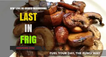 Cooked Mushrooms in the Fridge: Shelf Life and Storage Tips