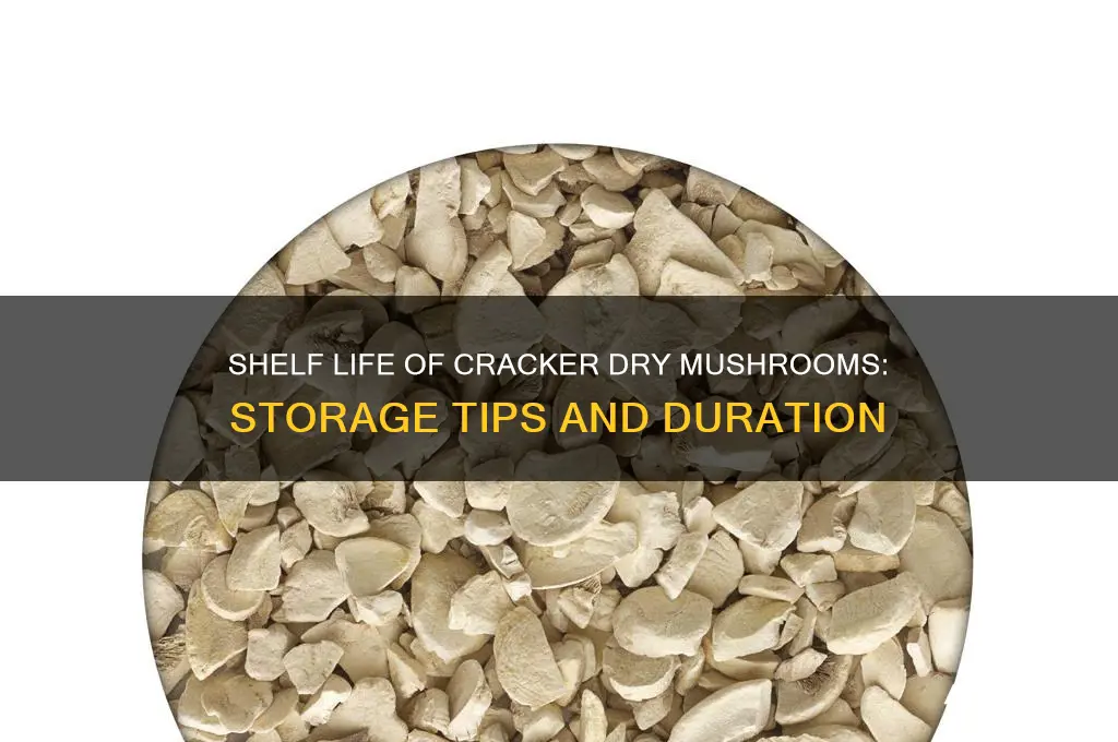 how long do cracker dry mushrooms last