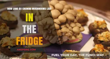 Cremini Mushrooms Shelf Life: How Long Do They Last in the Fridge?
