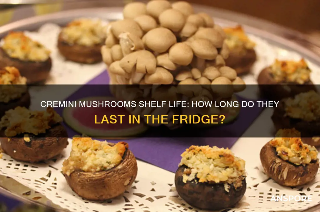 how long do cremini mushrooms last in the fridge