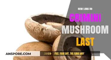 Crimini Mushrooms Shelf Life: Storage Tips for Freshness and Longevity