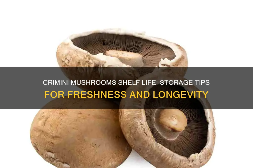 how long do crimini mushrooms last