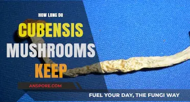 Cubensis Mushrooms Shelf Life: Storage Tips for Longevity