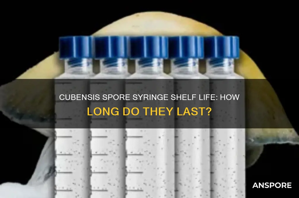 how long do cubensis spore syringes last
