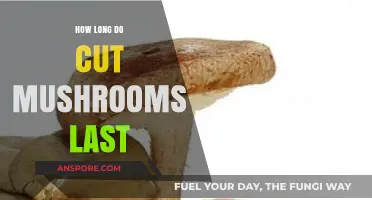 Maximizing Freshness: How Long Do Cut Mushrooms Last in Fridge?