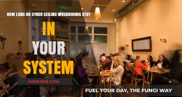 Cyber Ceiling Mushrooms: Duration in Your System Explained