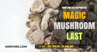 Dehydrated Magic Mushrooms Shelf Life: How Long Do They Last?