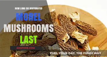 Dehydrated Morel Mushrooms: Shelf Life and Storage Tips Revealed