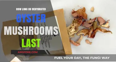 Dehydrated Oyster Mushrooms: Shelf Life and Storage Tips