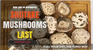 Dehydrated Shiitake Mushrooms: Shelf Life and Storage Tips