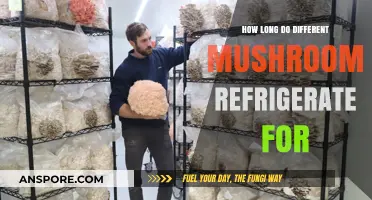 Refrigerating Mushrooms: Optimal Storage Times for Freshness and Flavor