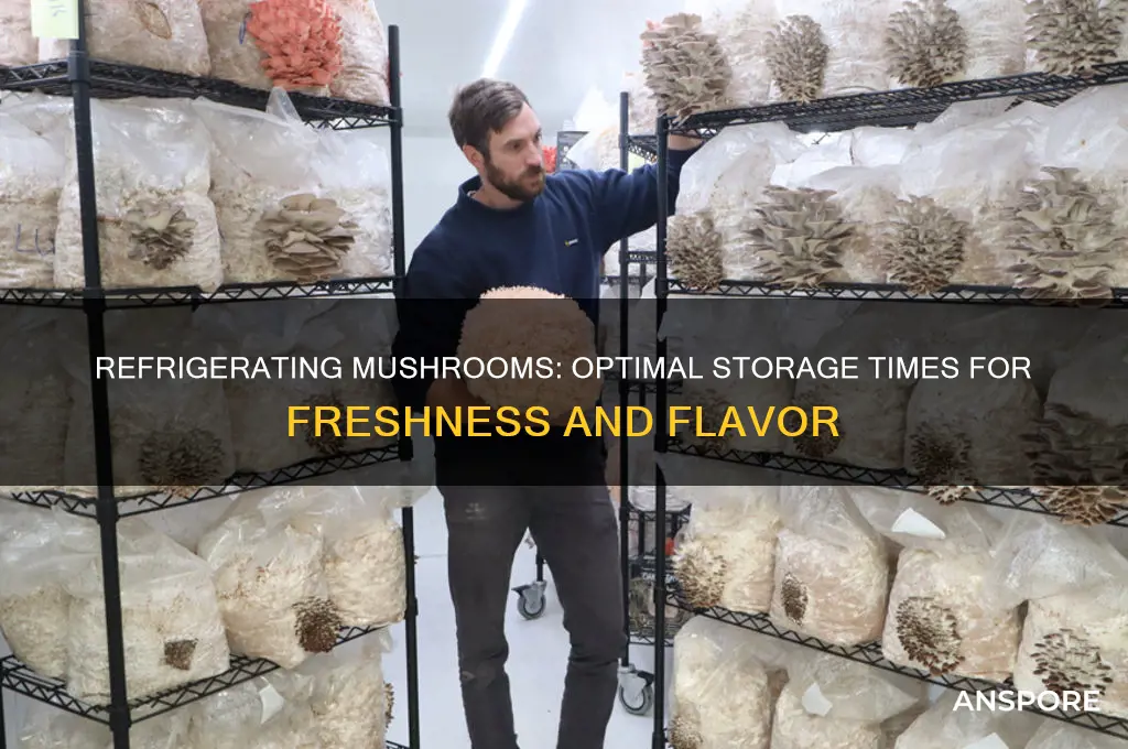 how long do different mushrooms refrigerate for