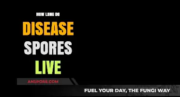 Understanding Disease Spores: Lifespan and Survival in Various Environments