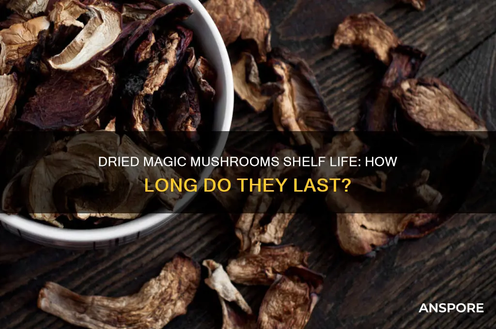 how long do dried magic mushrooms last