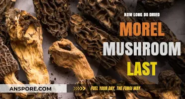 Dried Morel Mushrooms Shelf Life: Storage Tips for Longevity