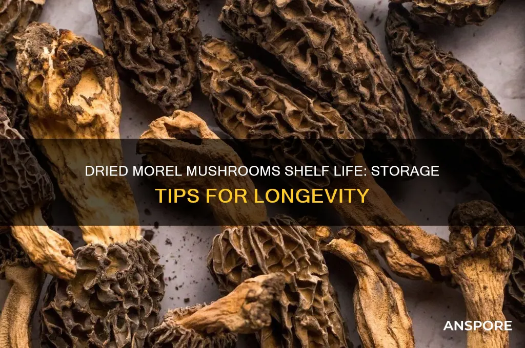 how long do dried morel mushrooms last