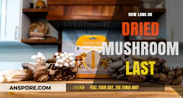 Dried Mushrooms Shelf Life: How Long Do They Last?
