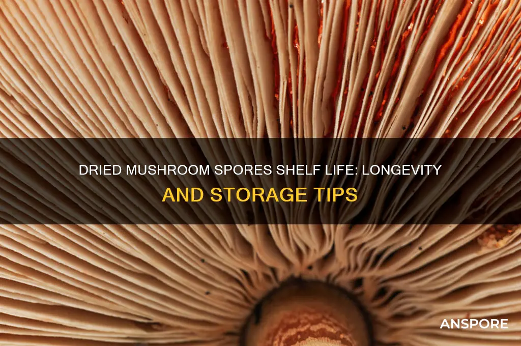 how long do dried mushroom spores last