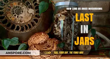 Maximizing Shelf Life: How Long Do Dried Mushrooms Last in Jars?