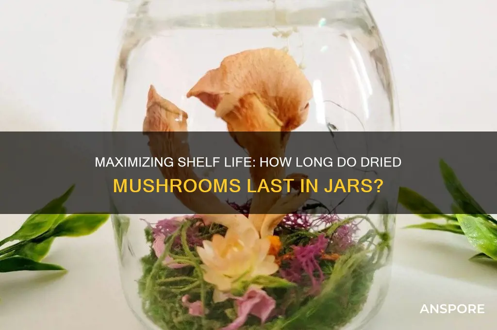 how long do dried mushrooms last in jars