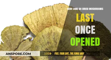 Maximizing Freshness: Opened Dried Mushrooms' Shelf Life Explained