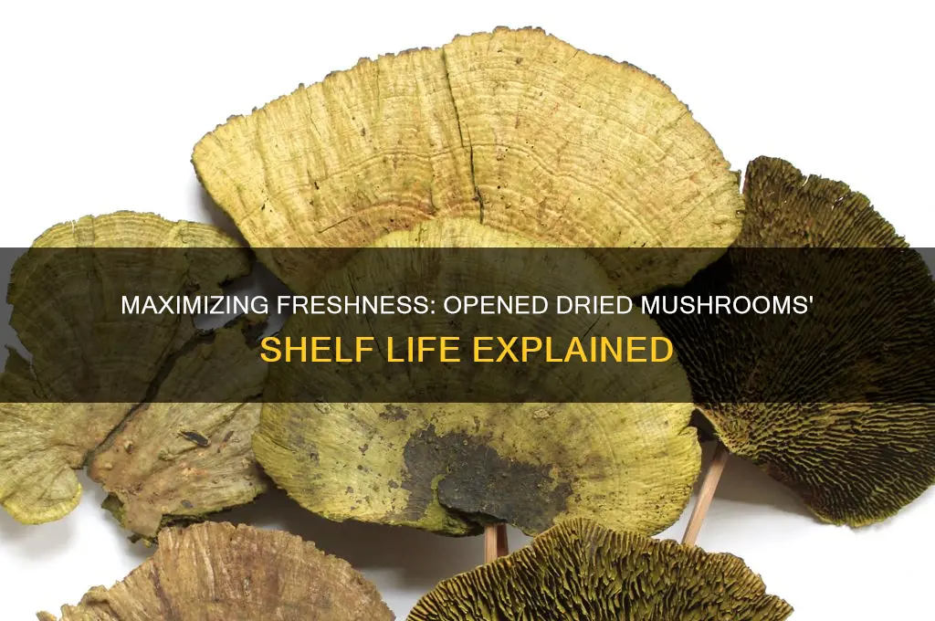 how long do dried mushrooms last once opened