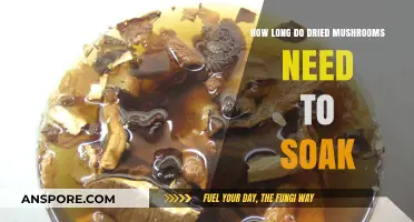 Perfect Soaking Time for Dried Mushrooms: A Quick Guide