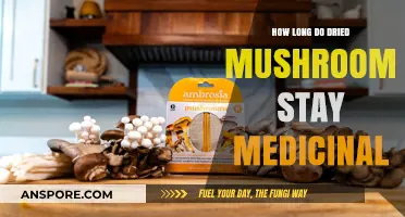 Preserving Potency: The Shelf Life of Medicinal Dried Mushrooms Explained
