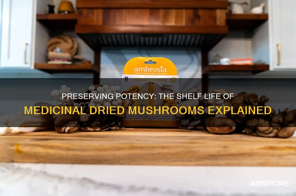 how long do dried mushrooms stay medicinal