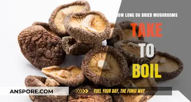 Boiling Dried Mushrooms: Optimal Time for Perfect Texture and Flavor