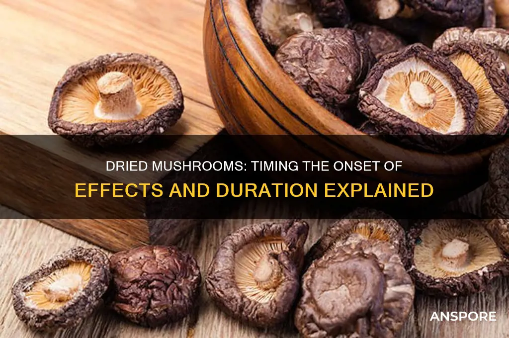 how long do dried mushrooms take to kick in