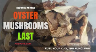 Dried Oyster Mushrooms Shelf Life: Storage Tips for Longevity