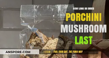 Dried Porchini Mushrooms Shelf Life: Storage Tips for Longevity