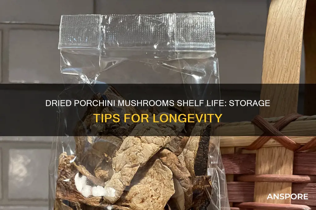 how long do dried porchini mushrooms last