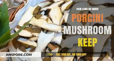 Dried Porcini Mushrooms: Shelf Life and Storage Tips