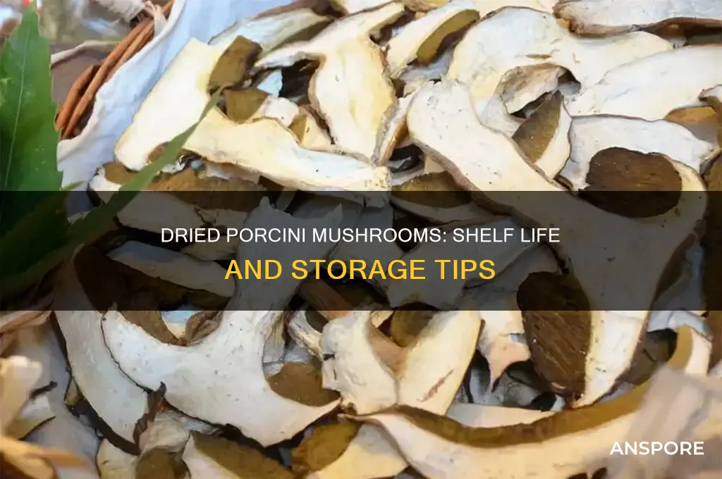 how long do dried porcini mushrooms keep